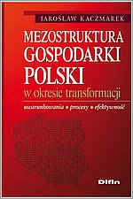Mezostruktura gospodarki Polski w okresie transformacji Uwarunkowania procesy efektywno